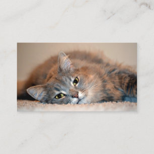 Long Hazard Blue Russian Cat door Shirley Taylor Visitekaartje