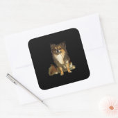 Long Hazard Chihuahua Cute Cartoon Graphic Dog Vierkante Sticker (Envelop)