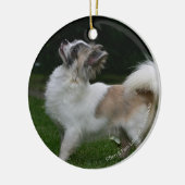 Long Hazard Chihuahua die camera's bekijken Keramisch Ornament (Links)