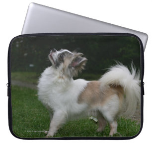Long Hazard Chihuahua die camera's bekijken Laptop Sleeve