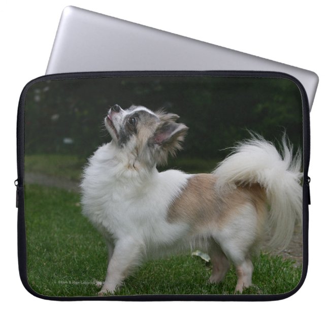 Long Hazard Chihuahua die camera's bekijken Laptop Sleeve (Voorkant)