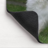 Long Hazard Chihuahua die camera's bekijken Muismat (Hoek)