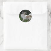 Long Hazard Chihuahua die camera's bekijken Ronde Sticker (Tas)