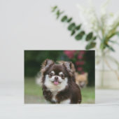 Long Hazard Chihuahua Headshot 1 Briefkaart (Staand voorkant)