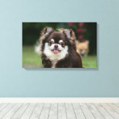 Long Hazard Chihuahua Headshot 1 Canvas Afdruk (Insitu (Houten vloer))