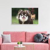 Long Hazard Chihuahua Headshot 1 Canvas Afdruk (Insitu (Woonkamer))