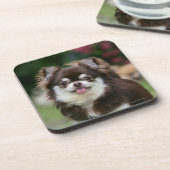 Long Hazard Chihuahua Headshot 1 Drankjes Onderzetter (Linkerzijde)