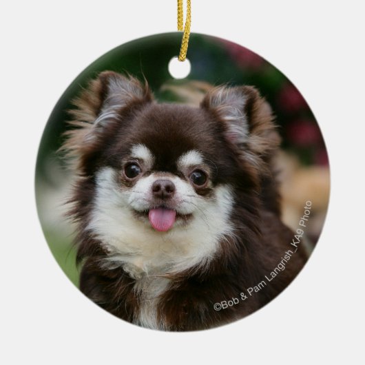 Long Hazard Chihuahua Headshot 1 Keramisch Ornament (Voorkant)