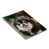 Long Hazard Chihuahua Headshot 1 Notitieboek (Rechterzijde)