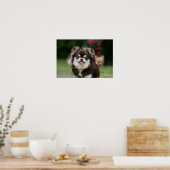 Long Hazard Chihuahua Headshot 1 Poster (Keuken)