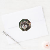 Long Hazard Chihuahua Headshot 1 Ronde Sticker (Envelop)