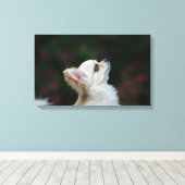 Long Hazard Chihuahua Headshot 2 Canvas Afdruk (Insitu (Houten vloer))