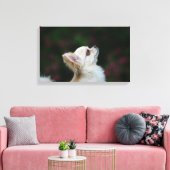 Long Hazard Chihuahua Headshot 2 Canvas Afdruk (Insitu (Woonkamer))