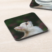 Long Hazard Chihuahua Headshot 2 Drankjes Onderzetter (Linkerzijde)