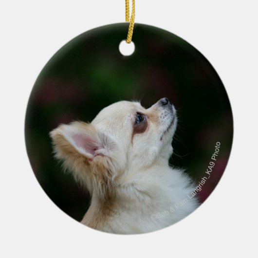 Long Hazard Chihuahua Headshot 2 Keramisch Ornament (Voorkant)