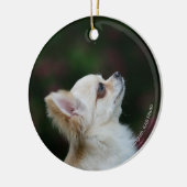 Long Hazard Chihuahua Headshot 2 Keramisch Ornament (Links)