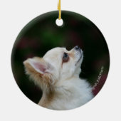 Long Hazard Chihuahua Headshot 2 Keramisch Ornament (Achterkant)