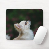 Long Hazard Chihuahua Headshot 2 Muismat (Met muis)