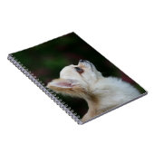 Long Hazard Chihuahua Headshot 2 Notitieboek (Rechterzijde)