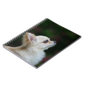 Long Hazard Chihuahua Headshot 2 Notitieboek (Linkerzijde)