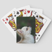 Long Hazard Chihuahua Headshot 2 Pokerkaarten (Achterkant)