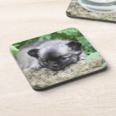 Long Hazard Chihuahua Puppy Bier Onderzetter (Linkerzijde)