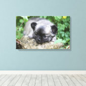 Long Hazard Chihuahua Puppy Canvas Afdruk (Insitu (Houten vloer))