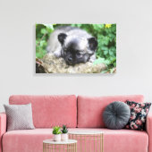 Long Hazard Chihuahua Puppy Canvas Afdruk (Insitu (Woonkamer))