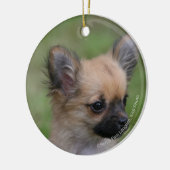 Long Hazard Chihuahua Puppy die camera bekijkt Keramisch Ornament (Links)