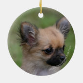 Long Hazard Chihuahua Puppy die camera bekijkt Keramisch Ornament (Achterkant)