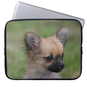 Long Hazard Chihuahua Puppy die camera bekijkt Laptop Sleeve