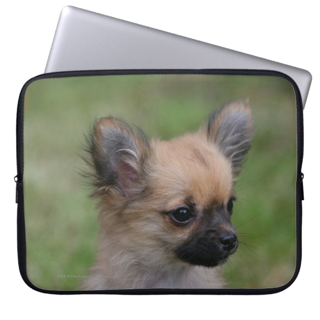 Long Hazard Chihuahua Puppy die camera bekijkt Laptop Sleeve (Voorkant)