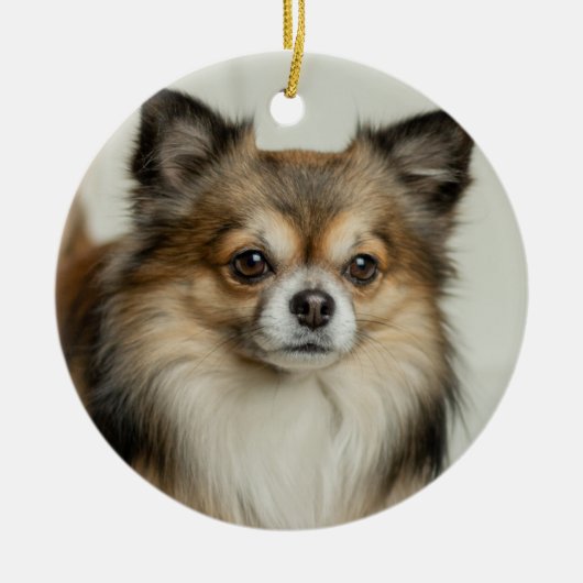 Long Hazard Chihuahua Puppy Dog Keramisch Ornament (Voorkant)