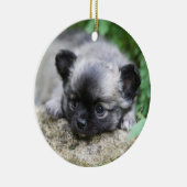 Long Hazard Chihuahua Puppy Keramisch Ornament (Rechts)