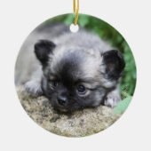 Long Hazard Chihuahua Puppy Keramisch Ornament (Voorkant)
