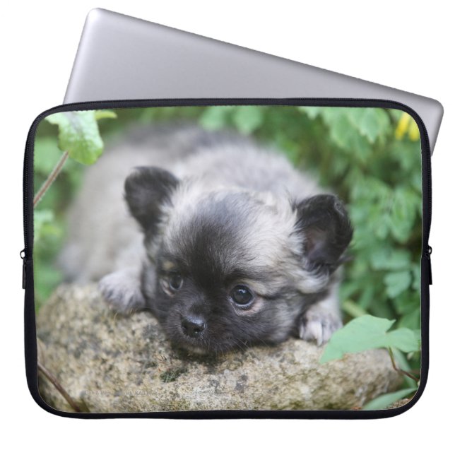 Long Hazard Chihuahua Puppy Laptop Sleeve (Voorkant)