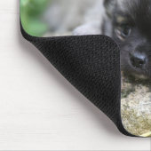 Long Hazard Chihuahua Puppy Muismat (Hoek)