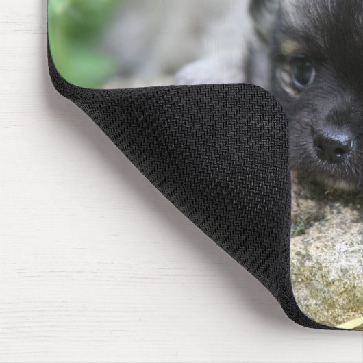 Long Hazard Chihuahua Puppy Muismat (Hoek)