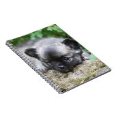 Long Hazard Chihuahua Puppy Notitieboek (Rechterzijde)