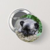 Long Hazard Chihuahua Puppy Ronde Button 5,7 Cm (Voorkant /achterkant)