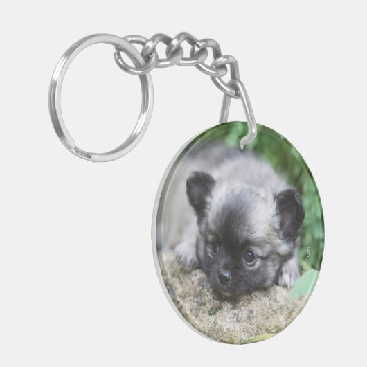 Long Hazard Chihuahua Puppy Sleutelhanger (Voorkant Links)