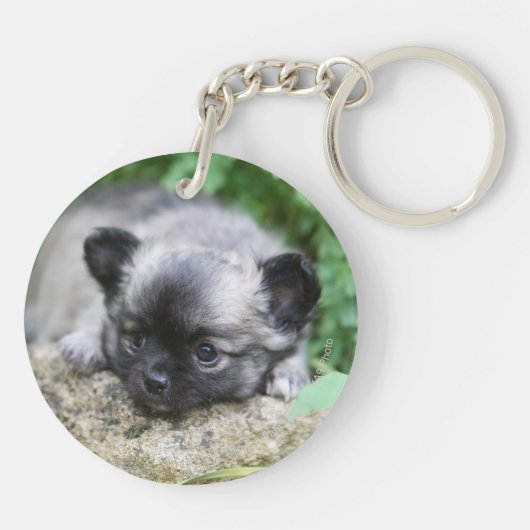 Long Hazard Chihuahua Puppy Sleutelhanger (Achterkant)