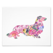 Long Hazard Dachshund Foto Afdruk (Voorkant)