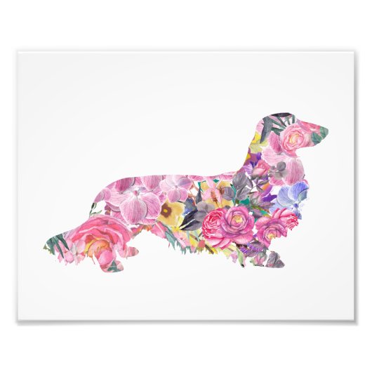 Long Hazard Dachshund Foto Afdruk (Voorkant)