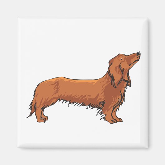 Long Hazard Dachshund Magneet (Voorkant)