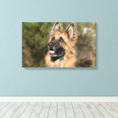 Long Hazard German Shepherd 1 Canvas Afdruk (Insitu (Houten vloer))