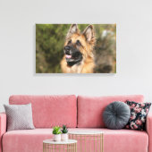 Long Hazard German Shepherd 1 Canvas Afdruk (Insitu (Woonkamer))