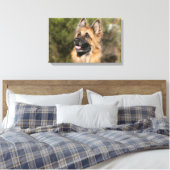 Long Hazard German Shepherd 1 Canvas Afdruk (Insitu (Slaapkamer))
