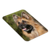 Long Hazard German Shepherd 1 Magneet (Rechterzijde)
