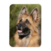 Long Hazard German Shepherd 1 Magneet (Verticaal)